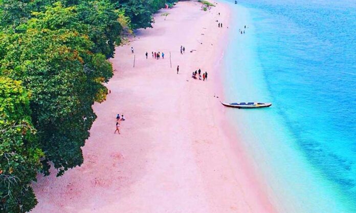 Pink Sand Beaches You Will Fall in Love With